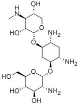 MUTAMICIN 2A Struktur