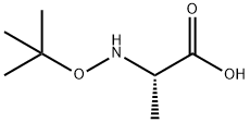 Alanine, N-(1,1-dimethylethoxy)- (9CI) Struktur