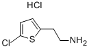 2-(5-CHLOROTHIOPHEN-2-YL)ETHANAMINE HYDROCHLORIDE Struktur