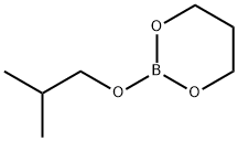 2-Isobutyloxy-1,3,2-dioxaborinane Struktur