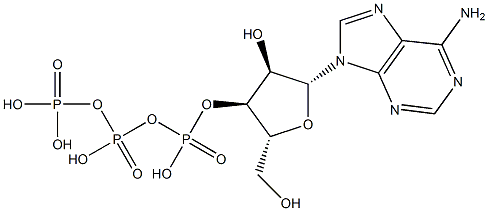 Adenosine 3'-triphosphoric acid Struktur