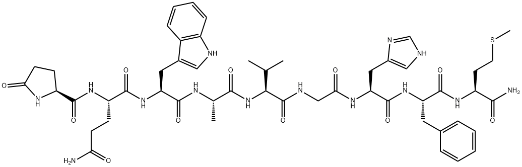 LITORIN Struktur