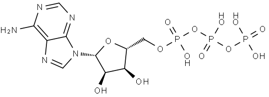 Adenosine triphosphate