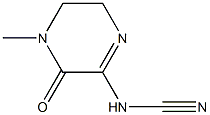 Cyanamide, (3,4,5,6-tetrahydro-4-methyl-3-oxopyrazinyl)- (9CI) Struktur