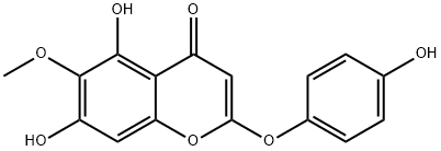 Capillarisin Struktur