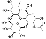 LEWIS A TRISACCHARIDE