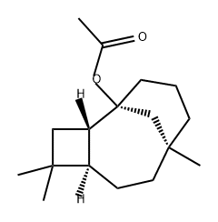 VETYNAL EXTRA Struktur