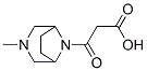 8-(Carboxyacetyl)-3-methyl-3,8-diazabicyclo[3.2.1]octane Struktur