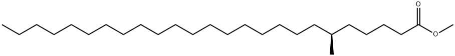 (S)-6-Methylpentacosanoic acid methyl ester Struktur