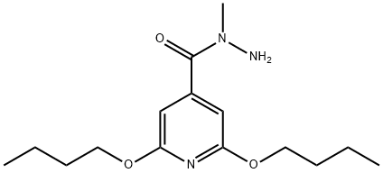 N-Methyl-2,6-dibutoxyisonicotinic hydrazide Struktur