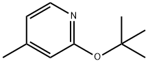 2-tert-Butoxy-4-methylpyridine Struktur