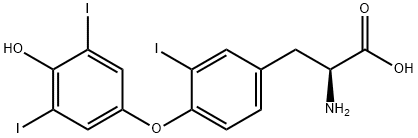 REVERSE T3 Struktur