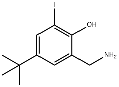 2-aminomethyl-4-t-butyl-6-iodophenol Struktur