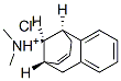 (5alpha,9alpha,11R*)-dimethyl[5,6,9,10-tetrahydro-5,9-methanobenzocycloocten-11-yl]ammonium chloride Struktur