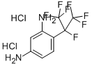 1,3-DIAMINO-4-(HEPTAFLUOROISOPROPYL)BENZENE DIHYDROCHLORIDE Struktur