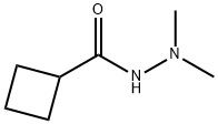 Cyclobutanecarboxylic acid, 2,2-dimethylhydrazide (9CI) Struktur