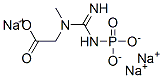 sodium N-[imino(phosphonoamino)methyl]-N-methylaminoacetate Struktur