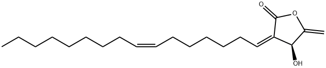 (S)-4,5-Dihydro-3-[(1Z,7Z)-hexadecan-7-enylidene]-4-hydroxy-5-methylenefuran-2(3H)-one Struktur