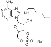 8-HA-CAMP SODIUM SALT Struktur