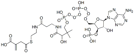 2-[2-[3-[[4-[[[(2R,3R,4R,5R)-5-(6-aminopurin-9-yl)-4-hydroxy-3-phosphonooxy-oxolan-2-yl]methoxy-hydroxy-phosphoryl]oxy-hydroxy-phosphoryl]oxy-2-hydroxy-3,3-dimethyl-butanoyl]amino]propanoylamino]ethylsulfanylcarbonylmethyl]prop-2-enoic acid Struktur