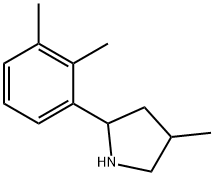 Pyrrolidine, 2-(2,3-dimethylphenyl)-4-methyl- (9CI) Struktur