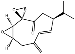 PERIPLANONEB Struktur