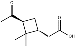 [(1R,3S)-2,2-Dimethyl-3-acetylcyclobutyl]acetic acid Struktur