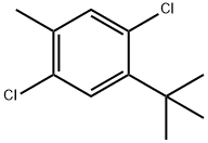 4-tert-Butyl-2,5-dichlorotoluene Struktur