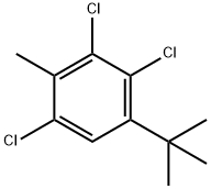 2,3,6-trichloro-4-tert-butyltoluene Struktur