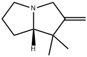 1H-Pyrrolizine,hexahydro-1,1-dimethyl-2-methylene-,(7aS)-(9CI) Struktur