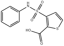 2-THIOPHENECARBOXYLIC ACID, 3-[(PHENYLAMINO)SULFONYL]- Struktur