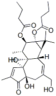 PHORBOLDIBUTYRATE Struktur