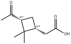 PINONIC ACID Struktur