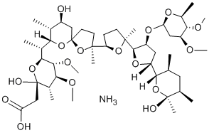  化學(xué)構(gòu)造式