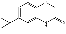 6-(TERT-BUTYL)-2H-1,4-BENZOXAZIN-3(4H)-ONE Struktur