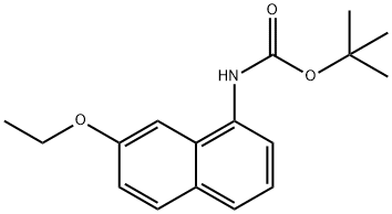 tert-butyl 7-ethoxynaphthalen-1-ylcarbaMate