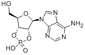 ADENOSINE-2',3'-CYCLIC PHOSPHATE Struktur