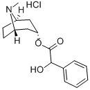 HOMATROPINE HYDROCHLORIDE