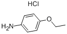 P-PHENETIDINE HYDROCHLORIDE