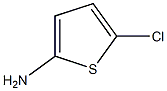 5-CHLORO-THIOPHEN-2-YLAMINE Struktur