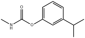 MIP Struktur