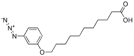 omega-(3-azidophenoxy)undecanoic acid Struktur