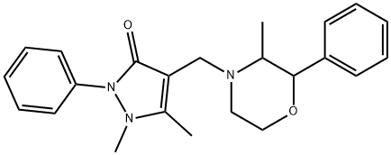 morazone Struktur