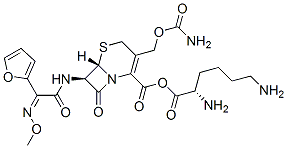 cefuroxime lysine Struktur