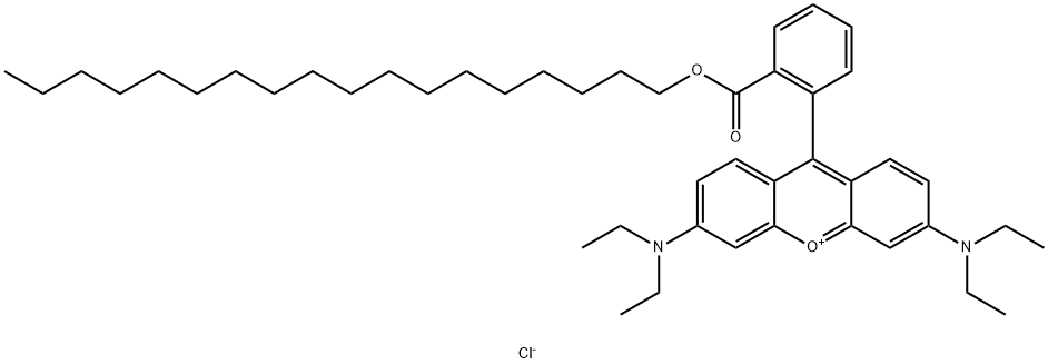 OCTADECYL RHODAMINE B CHLORIDE