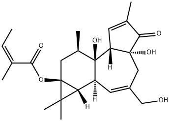 12-deoxyphorbol-13-angelate Struktur