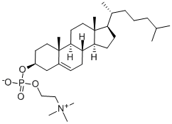 CHOLESTERYL PHOSPHORYL CHOLINE Struktur