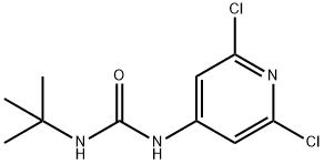 N-(TERT-BUTYL)-N'-(2,6-DICHLORO-4-PYRIDYL)UREA Struktur