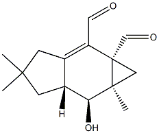 merulidial Struktur