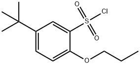 5-TERT-BUTYL-2-PROPOXY-BENZENESULFONYL CHLORIDE Struktur